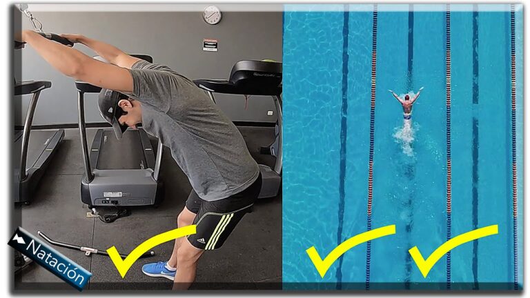 Nadadores: Descubre el entrenamiento físico perfecto en solo 70 caracteres