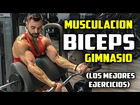 Potencia tus bíceps en el gym con estos efectivos ejercicios